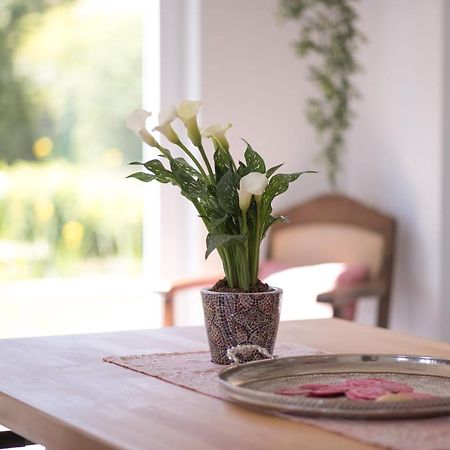 Ferienwohnung Schwalbennest Weinsheim  Kültér fotó