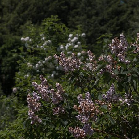 Ferienwohnung Schwalbennest Weinsheim  Kültér fotó