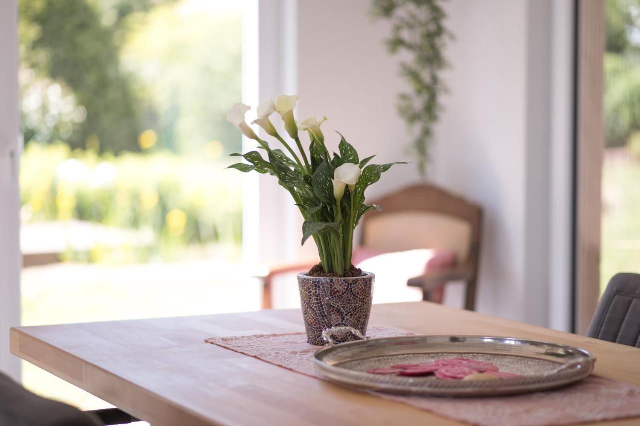 Ferienwohnung Schwalbennest Weinsheim  Kültér fotó