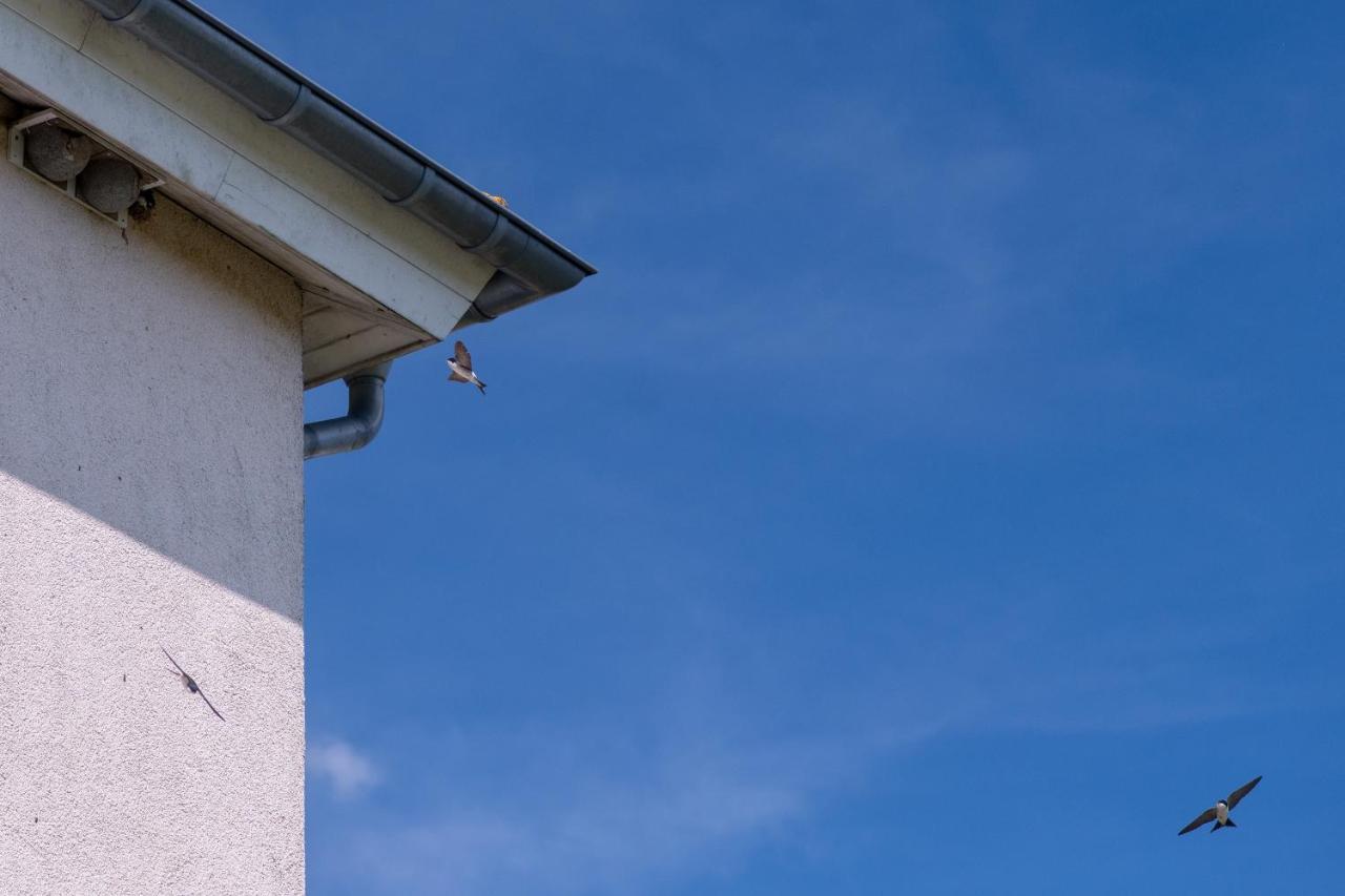 Ferienwohnung Schwalbennest Weinsheim  Kültér fotó