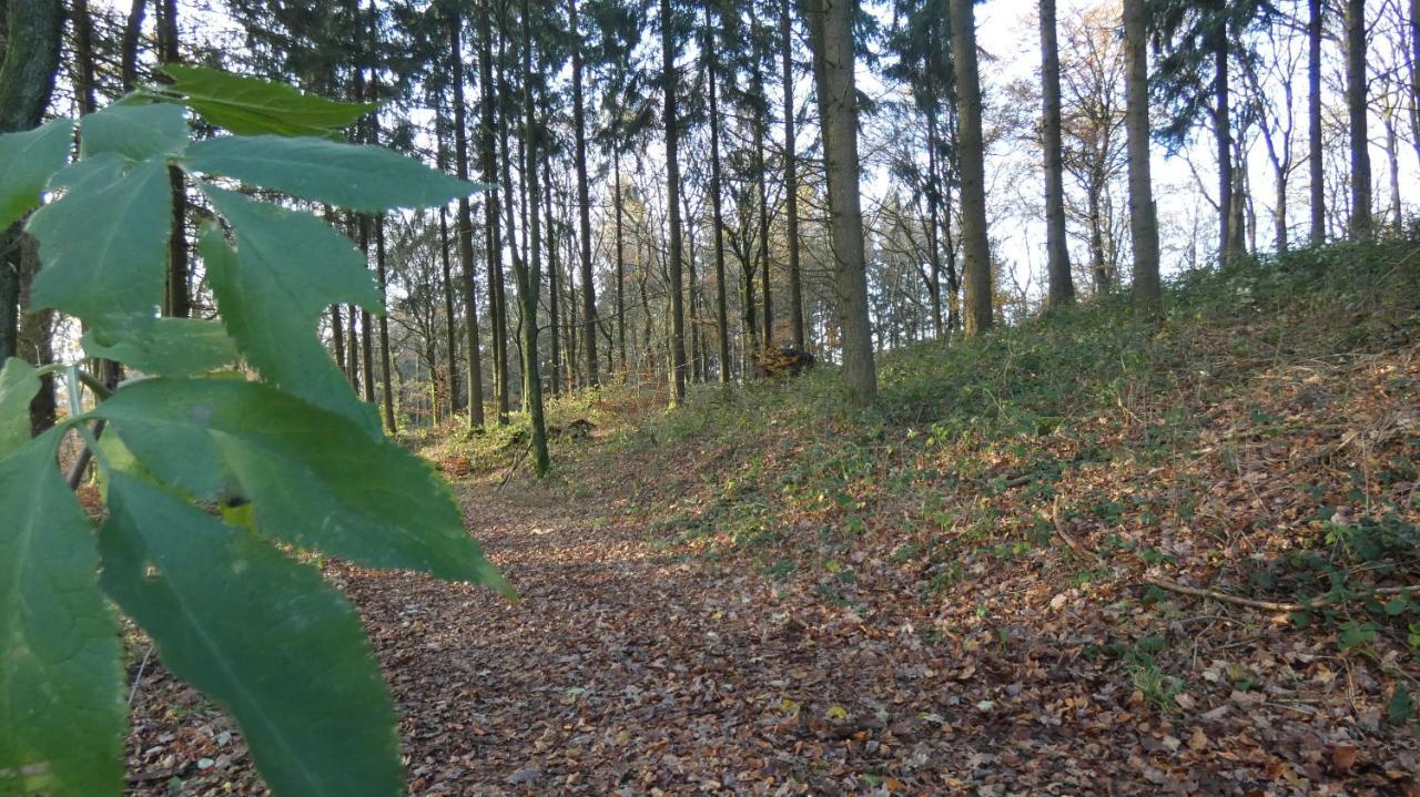 Ferienwohnung Schwalbennest Weinsheim  Kültér fotó