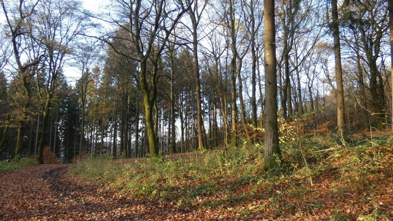 Ferienwohnung Schwalbennest Weinsheim  Kültér fotó